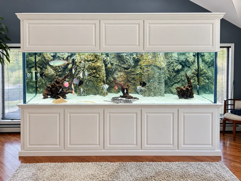 Custom stand for aquarium built by Action Cabinetry